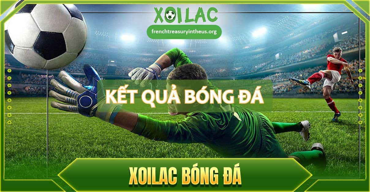 Vì sao người xem nên chọn tham khảo Kết quả bóng đá Xoilac?